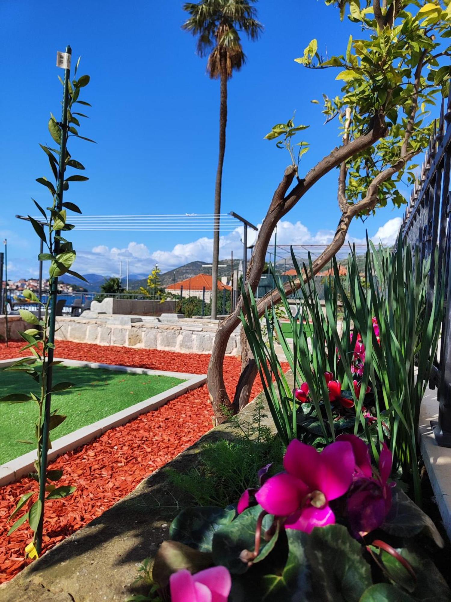 Apartments Harriet ดูบรอฟนิก ภายนอก รูปภาพ